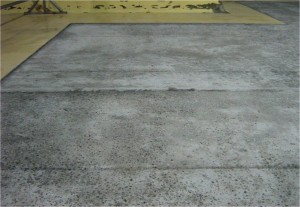 Picture6