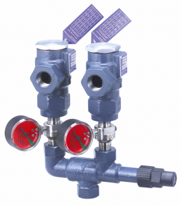 Rupture Disc Assemblies, Gauges and Pressure Switches